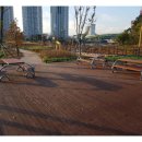 삼일조경 | 울산조경관리 울산 삼일조경의 현장 조경공사, 직접 경험해보니 관리부터 신뢰까지 확실했어요
