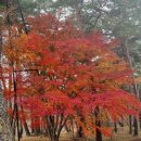 장수헬스클럽 Daum카페