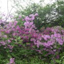 순천만여행 이미지