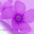 [엘리스 피터스] 죽음과 즐거운 여자 1 이미지