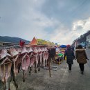 거제 대구수산물축제 이미지