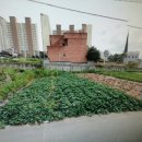 봉곡동124 이미지