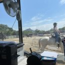 용인씨씨승마클럽 이미지