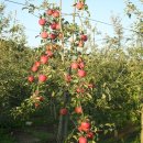 감곡낚시터 이미지