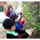 남이초병설유치원 이미지