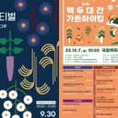 멍그루 이미지