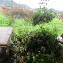 전라도 여수식당 이미지