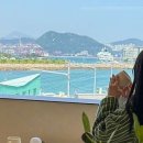 녹티플로르