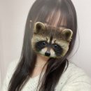보니따붙임머리헤어 이미지