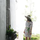 파리의상실 이미지