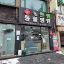 찬샘동물병원 | 인천 햄스터병원 찬샘동물병원 후기