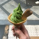 11545-10-30-08 | 히타 유후인 당일치기 후쿠오카 버스투어 와쿠와쿠 솔직후기