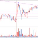 블루메드 이미지