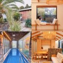 제주키즈풀빌라 나무와 아이 | 제주도 독채 풀빌라 펜션 광이멀스테이 제주 펜션 예약 꿀팁