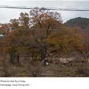 송하 보건진료소 이미지