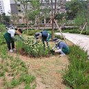 정원의 조성과 관리 이미지