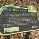 산성집 | 청주 {상당산성 자연휴양림} '숲속의 집' 완벽 힐링 후기