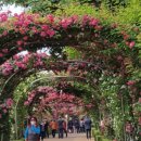 장미축사 이미지