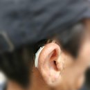 푸른소리 보청기 네이버블로그
