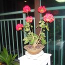 동훈네집 이미지