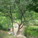 가재골 2농장 이미지