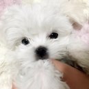 인사동옷집
