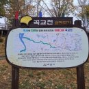 염치읍 은행나무길 이미지