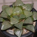 (주)성영 이미지