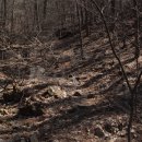 천마산농장 이미지