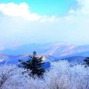 태백산목장 이미지