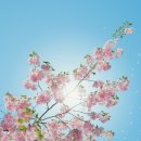 봄날모터스