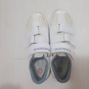 자이언트파마 이미지