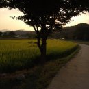 들녘 옷 이미지