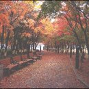 운생동건축사사무소(주) 이미지