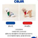 포독스1 | 강아지 옷 내돈내산 후기 4DOGS 포독스 앵무 야구점퍼 블루&amp;그린 착용 리뷰