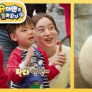 5월7일 슈퍼맨이 돌아왔다 시우네 가족의 판다 홀릭 영상 이미지