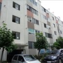 사파동310 이미지