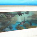 완산-118 이미지