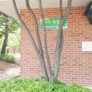 매탄(매여울공원) 이미지