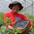 이병일농장 이미지