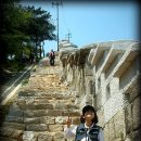 아롱이다롱이 이미지