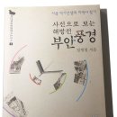 패대기 이미지