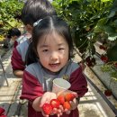 돈다산농장 Daum카페