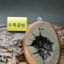 벼락맞은대추나무