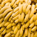 손톱에바나나