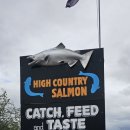 뉴질랜드 High Country Salmon 연어양식장 후기~