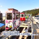 미포숲 | 놀거리] 부산 바다와 산을 한눈에 담는 명당, 해운대블루라인파크 청사포-미포행 스카이캡슐 후기(주차 팁)