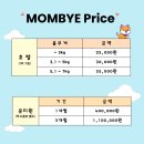 일산애견 이미지