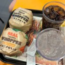 레드폭스 민박 | [여행/청평] 두근두근 생애 첫 빠지 수상 레저 후기