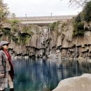 동박낭